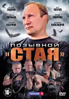  Позывной «Стая» смотреть онлайн сериал 1-2 сезон 